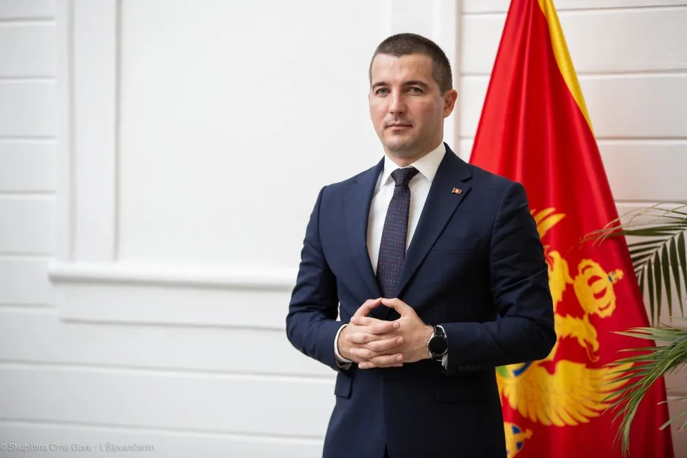 Foto: Fejsbuk, Demokrate 