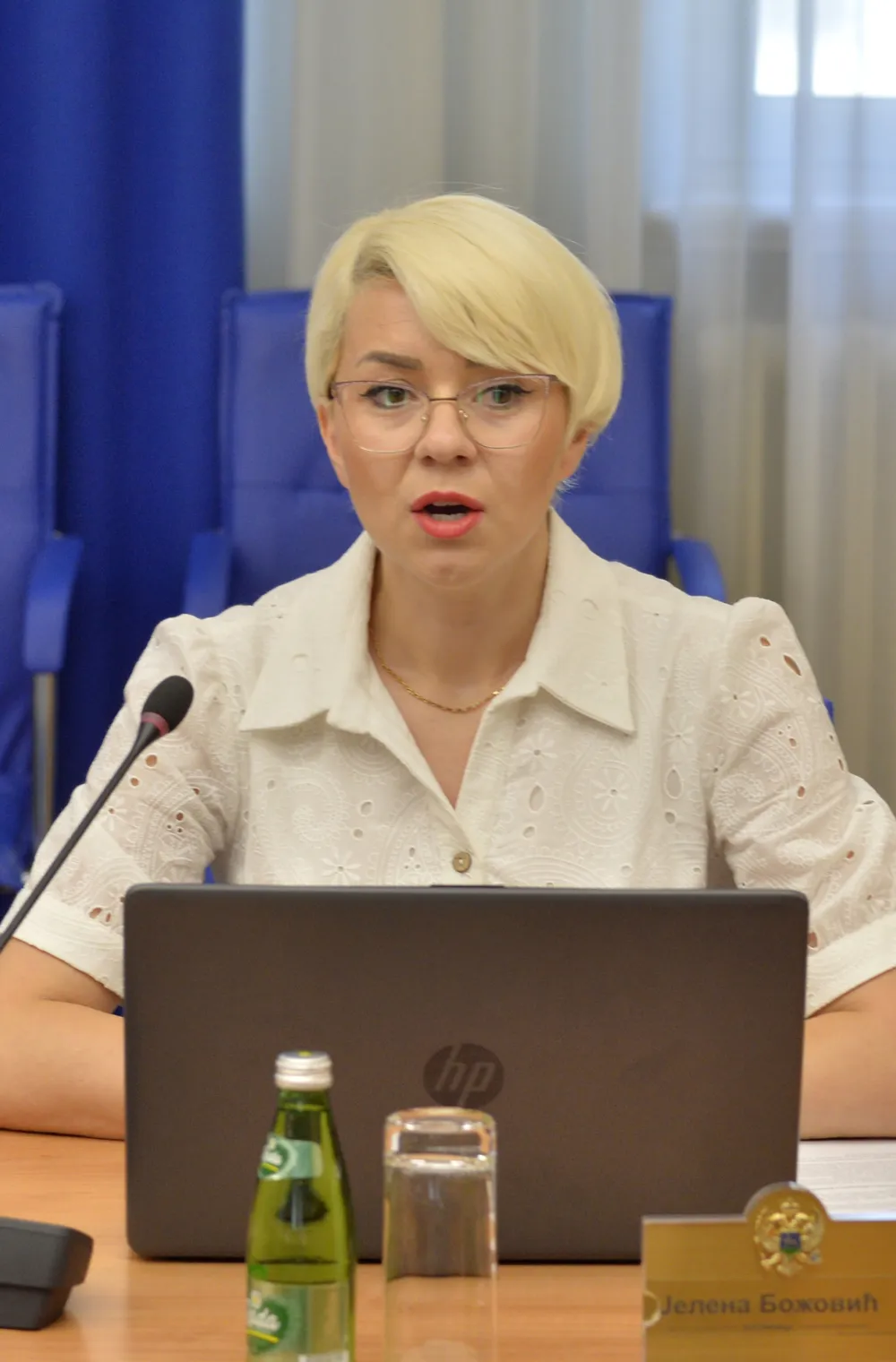 Odbor za ljudska prava, Kontrolno saslusanje ministara, Jelena Bozovic
