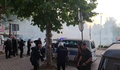  - FOTO: BILJA BRA&Scaron;NJO