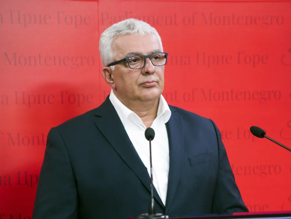 andrija mandic