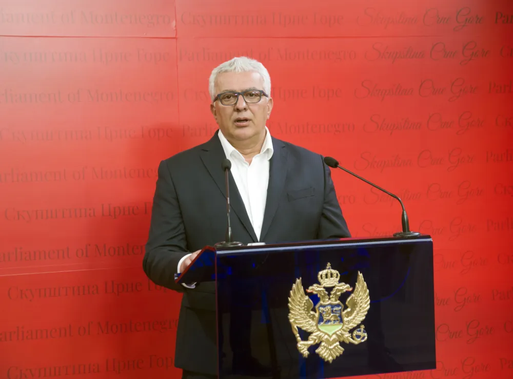 andrija mandic
