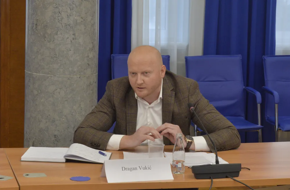 Radna grupa za izradu nacrta zakona o skupstini, Dragan Vukic