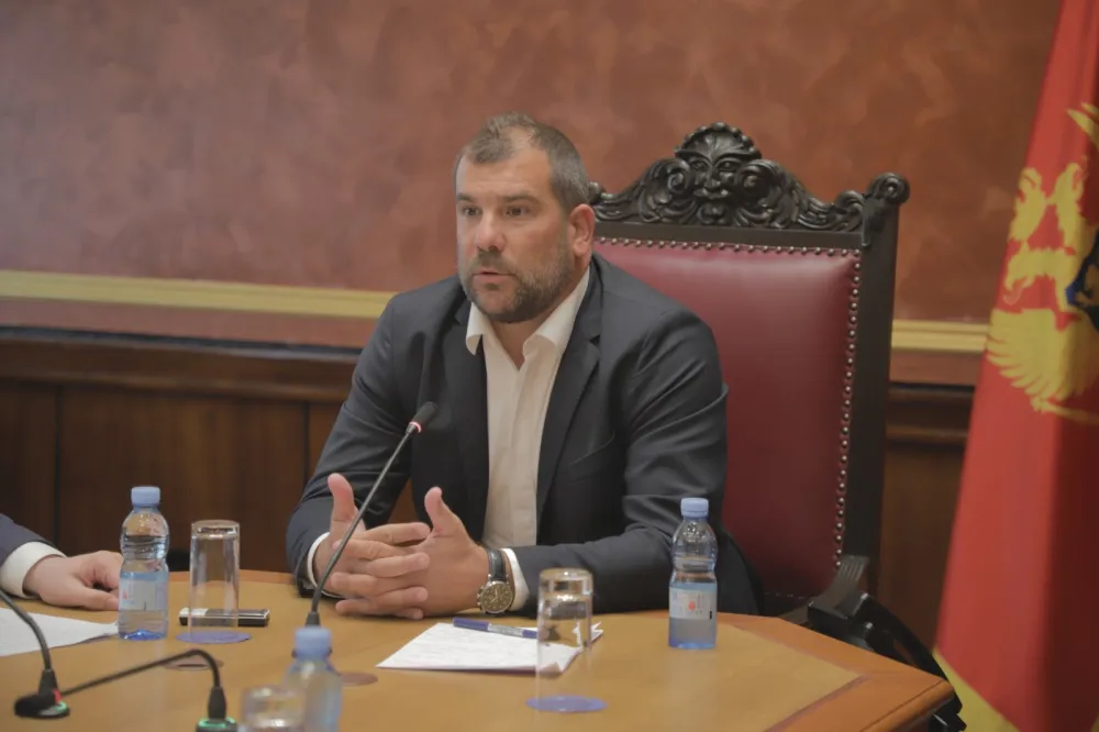 Dragan Krapović