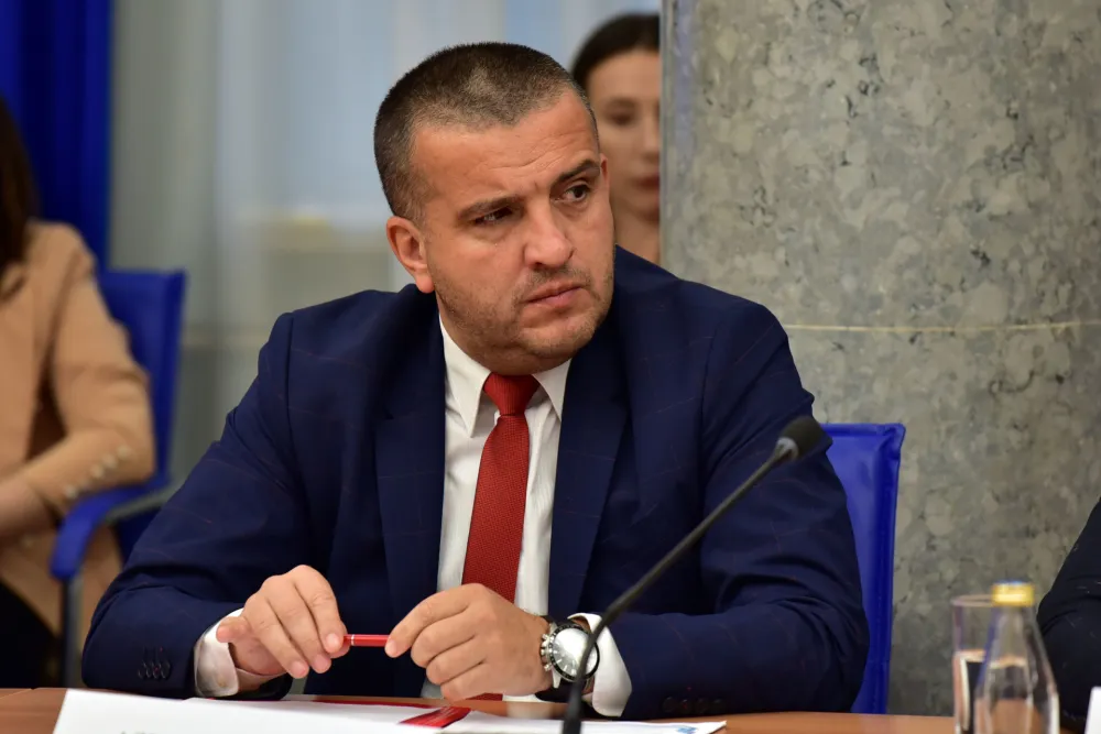 Odbor za ekonomiju, rebalans, Adnan Strikovic