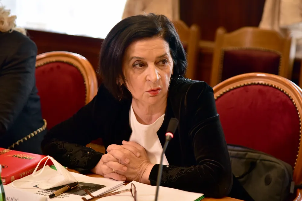 Sjednica ustavnog odbora, ustavni odbor, Jovanka Lalicic
