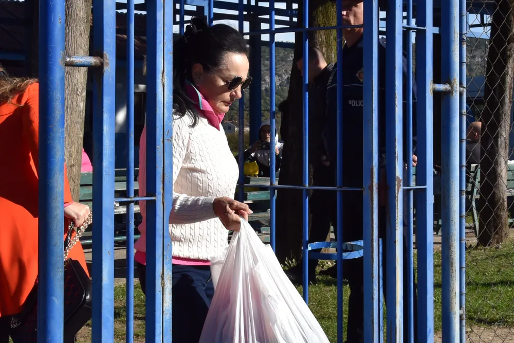 Vesna Medenica, izlazi iz pritvora
