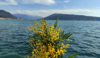 Potvrđeni dodatni letovi iz Beograda u toku Praznika mimoze
