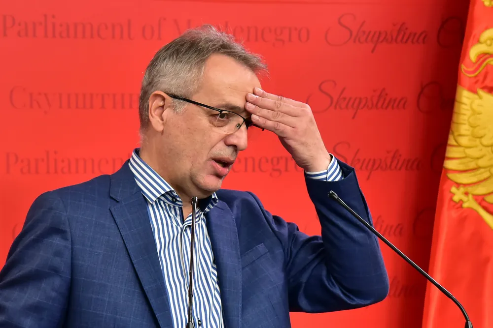 Goran Danilovic