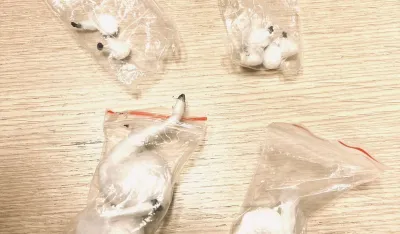 Podgoričanin optužen zbog prodaje kokaina