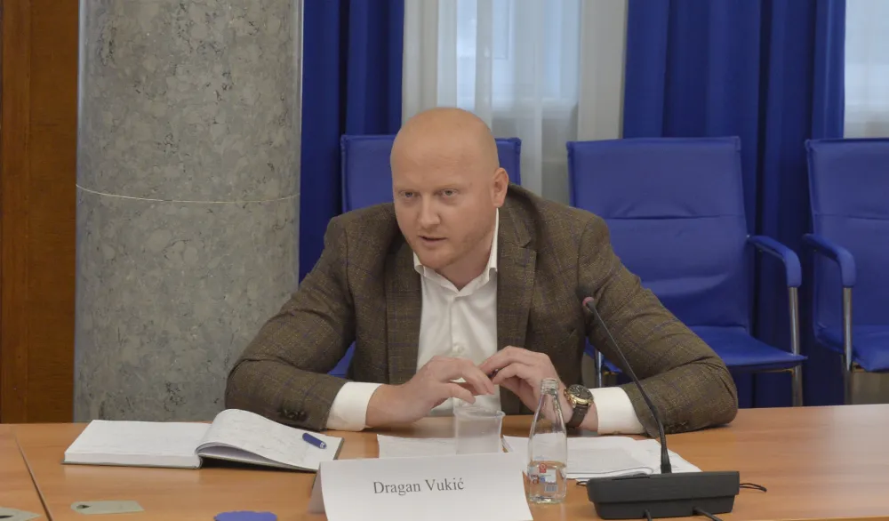 Radna grupa za izradu nacrta zakona o skupstini, Dragan Vukic