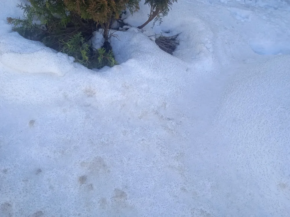 Zabijelilo na sjeveru: U Rožajama 32 centimetra snijega