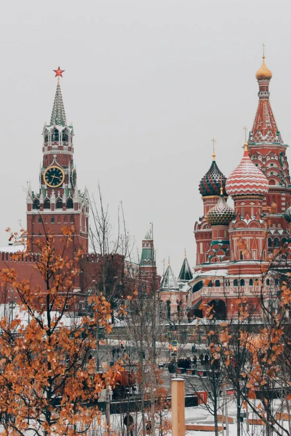 Photo by Michael Parulava on Unsplash