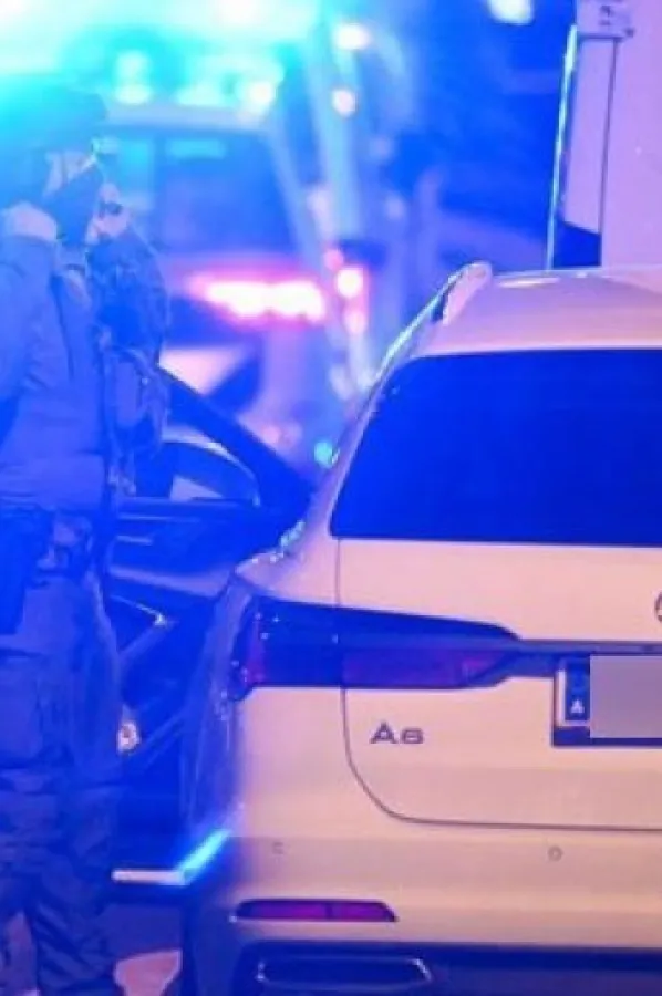Ilustracija<br>austrijska policija, strana policija