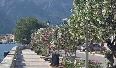Рива на Прчању; нова јавна расвјета