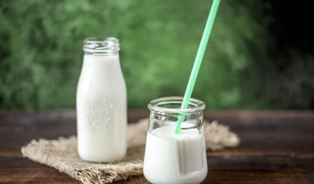 Kefir, ishrana