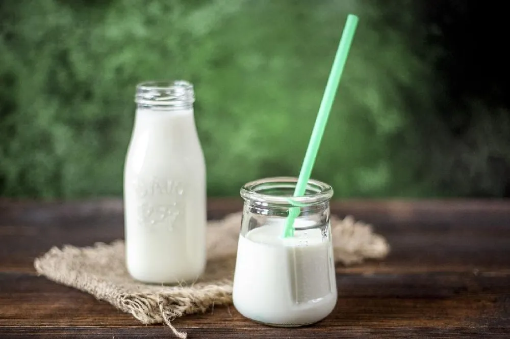 Kefir, ishrana