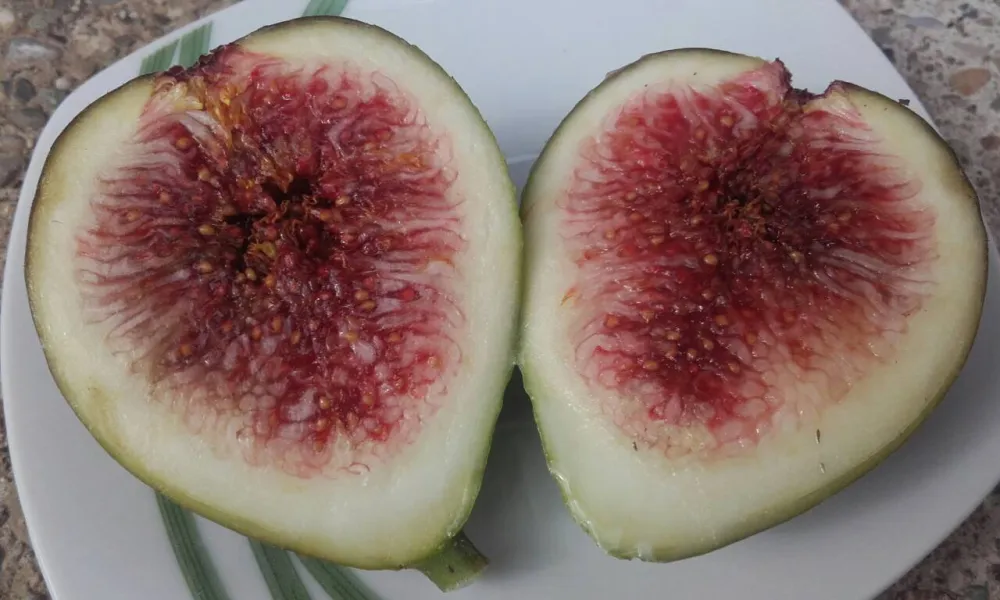 Starinski recept za slatko od smokava