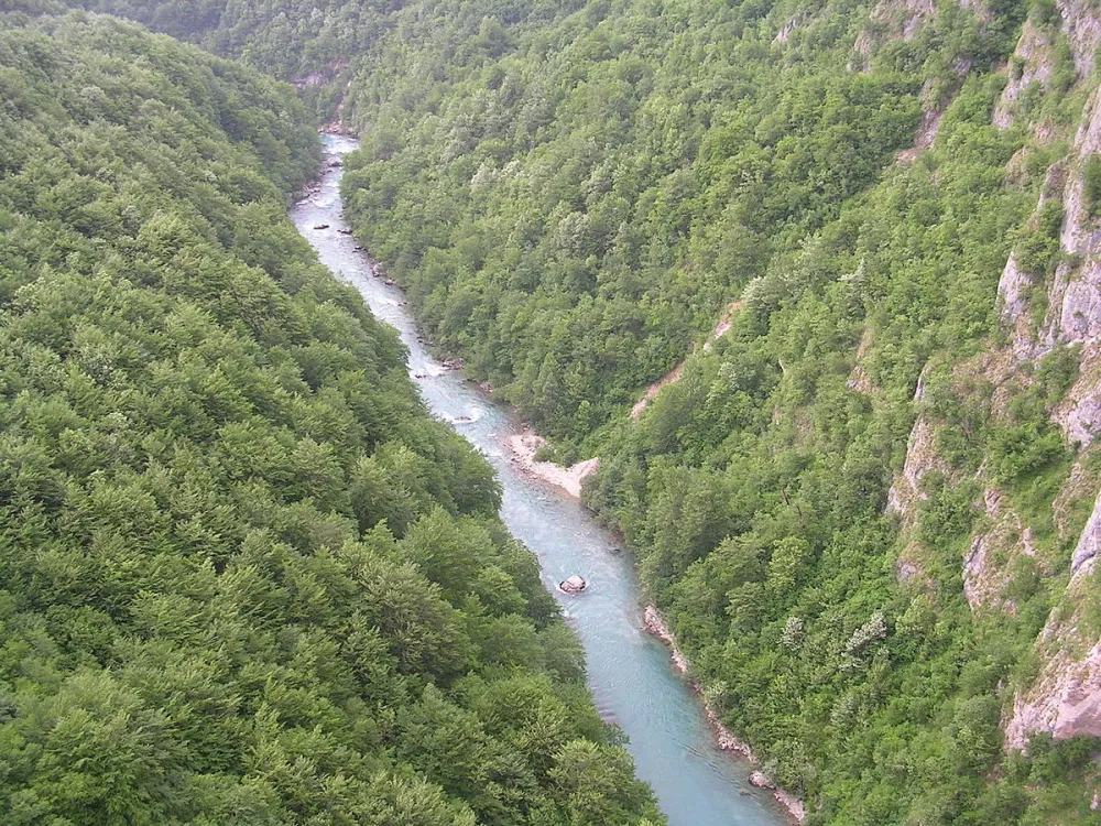 Ријека Тара (фото: Википедија)