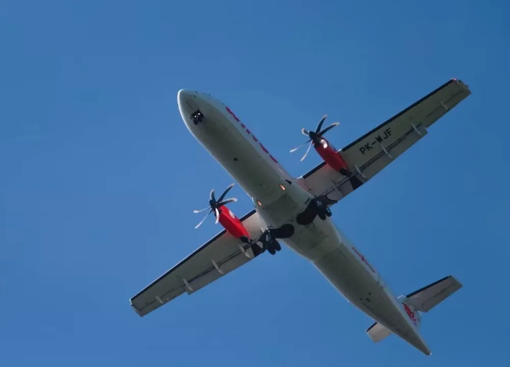 Putnici napravili haos, avion prinudno sletio