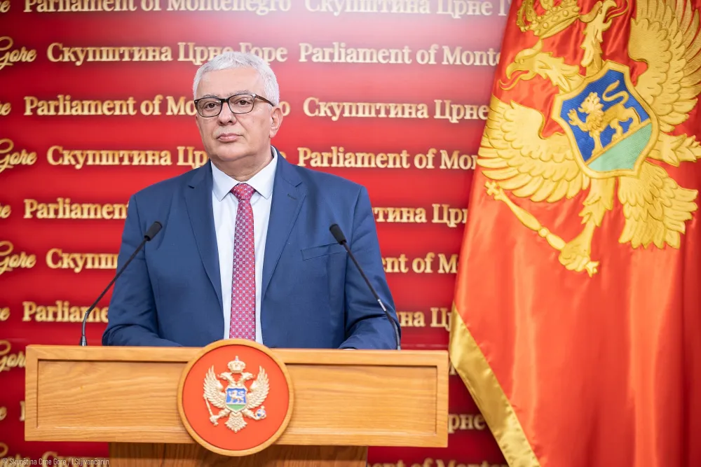 (VIDEO) Mandić: Ne pristajemo na opstrukcije popisa