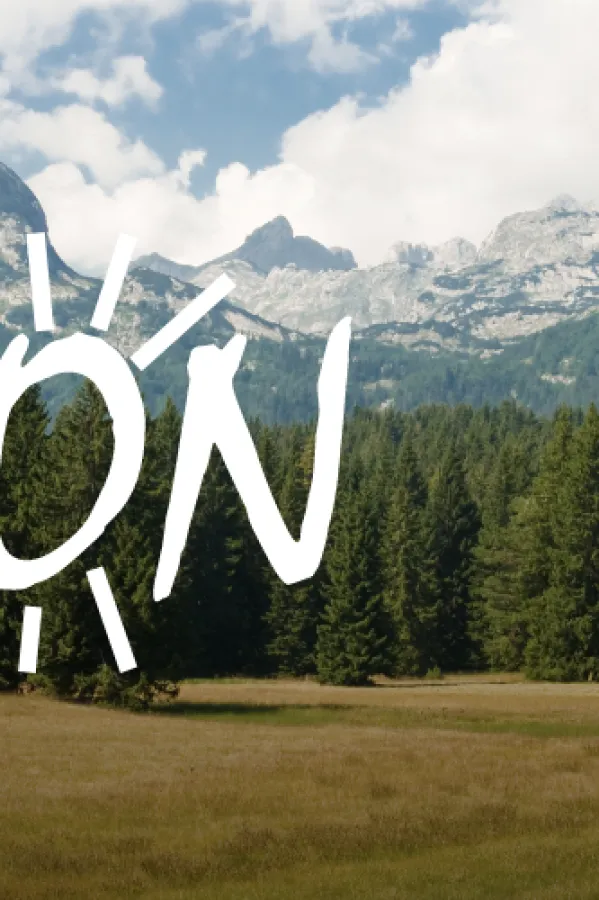 Ekolo&scaron;ki pokret "Ozon"
