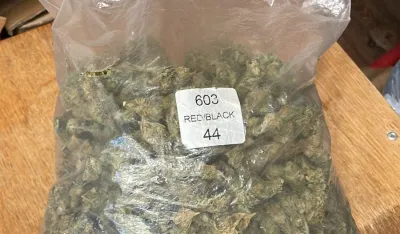 marihuana, Tivat