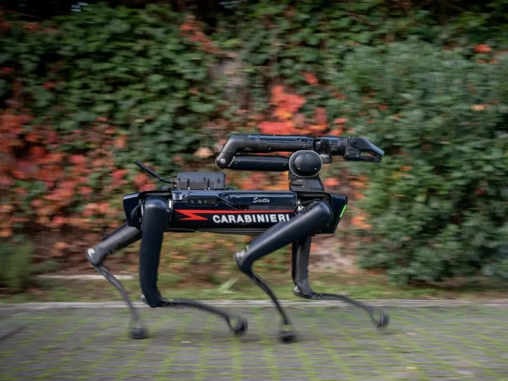 Seata robot