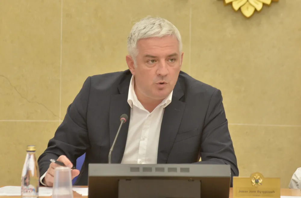 Odbor za ljudska prava, sjednica odbora za ljudska prava, Jovan Jole Vucurovic, Jovan Vucurovic