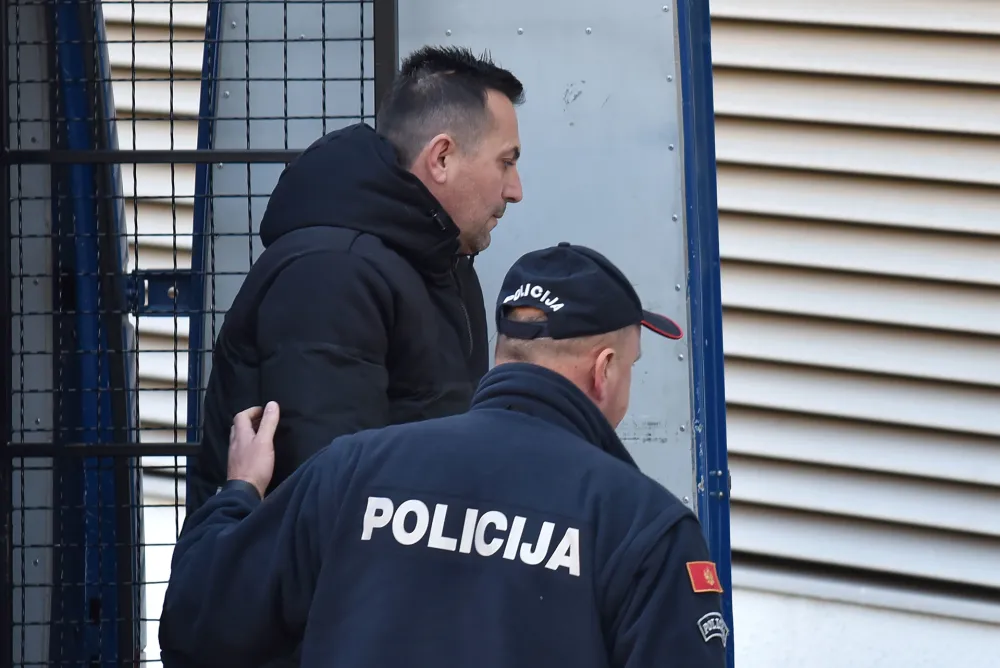 Aleksandar Mijajlovic,privodjenje