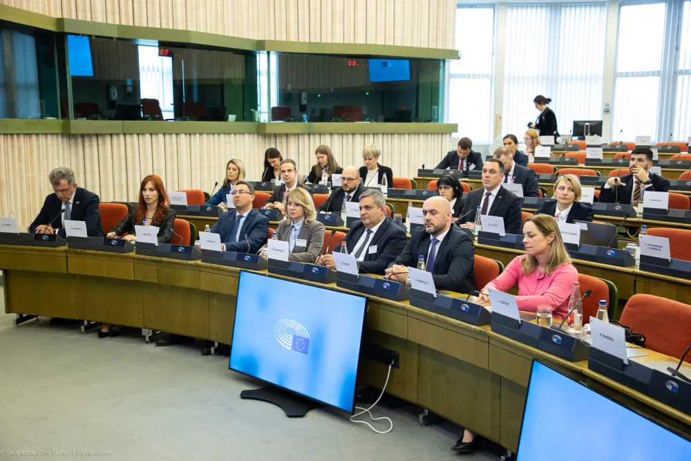 POSP: Pohvaljeni rezultati Crne Gore u procesu pristupanja, očekuje se reforme