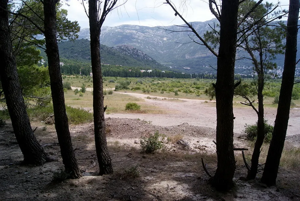 Spičansko polje