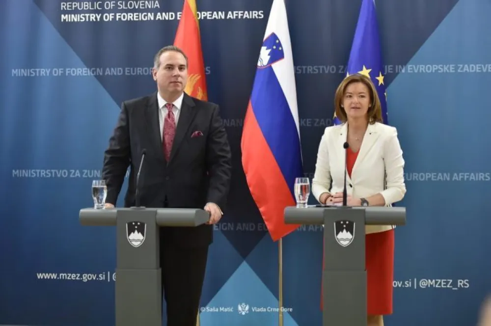Ivanović: Pridruživanje EU jedini siguran put za stabilnost regiona