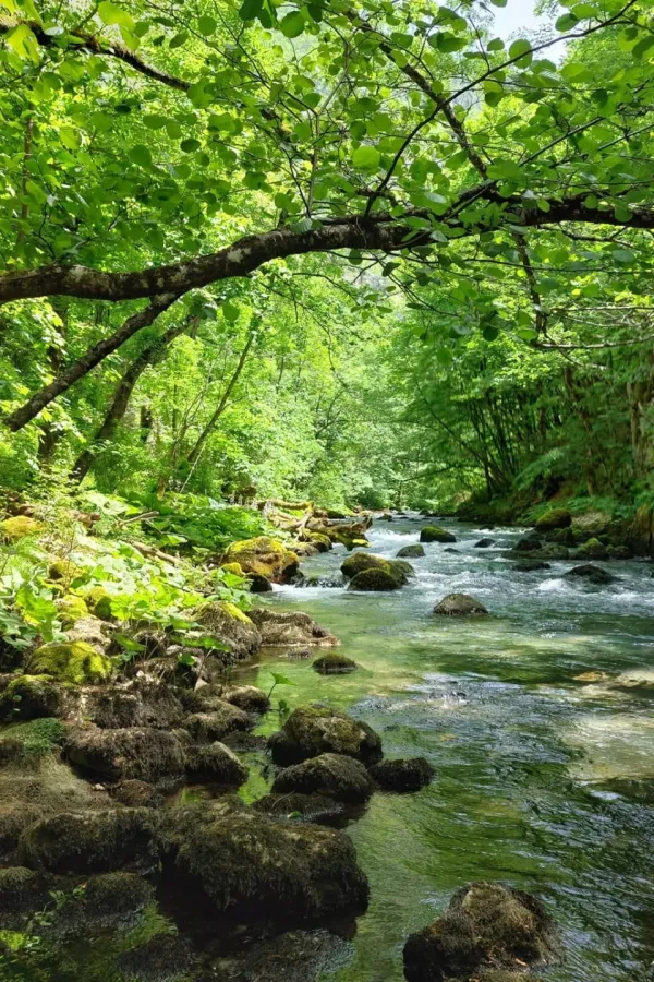 Bistrica - Đalovića klisura