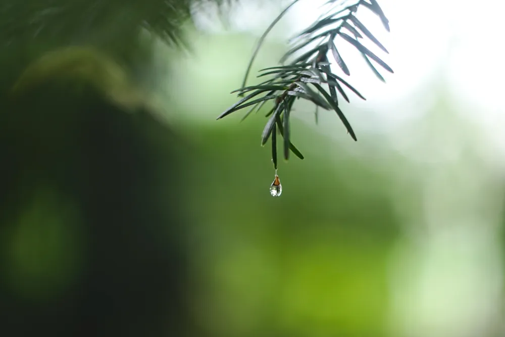 (VIDEO) Tokom noći ki&scaron;a, a ujutro razvedravanje