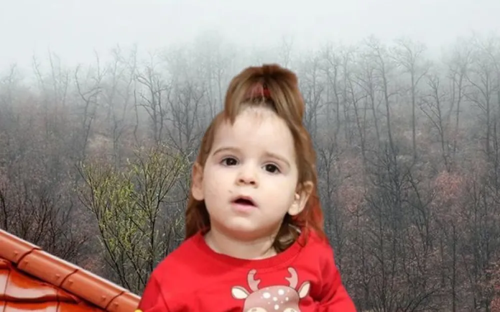 Danka Ilić