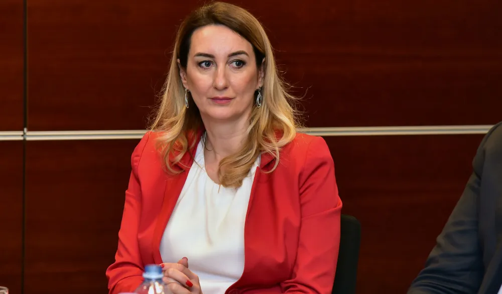 Perović: Dikriminisana sam samo zato jer sam direktorica ASK-a