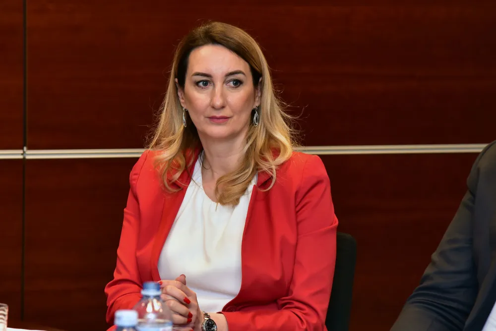 Perović: Dikriminisana sam samo zato jer sam direktorica ASK-a