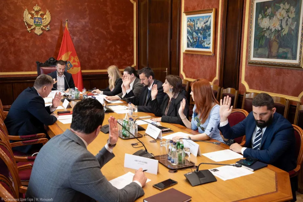 Komisija za praćenje postupka privatizacije&nbsp;kontrolisaće Vektru &bdquo;Boka&rdquo;, Meljine i Institut