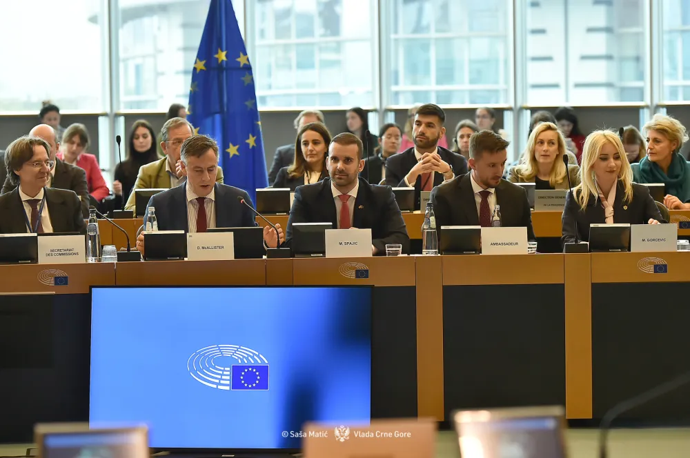 Spajić: Napredujemo u borbi protiv korupcije; Bilčik: Nadam se da će Crna Gora uskoro postati dio EU