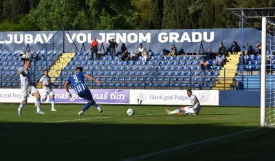 Gol Despotovića