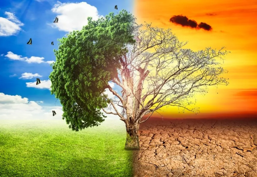 NVO: Potrebno mnogo vi&scaron;e kredibilnih informacija o posljedicama klimatskih promjena