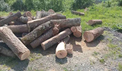 Borba protiv &scaron;umokradica