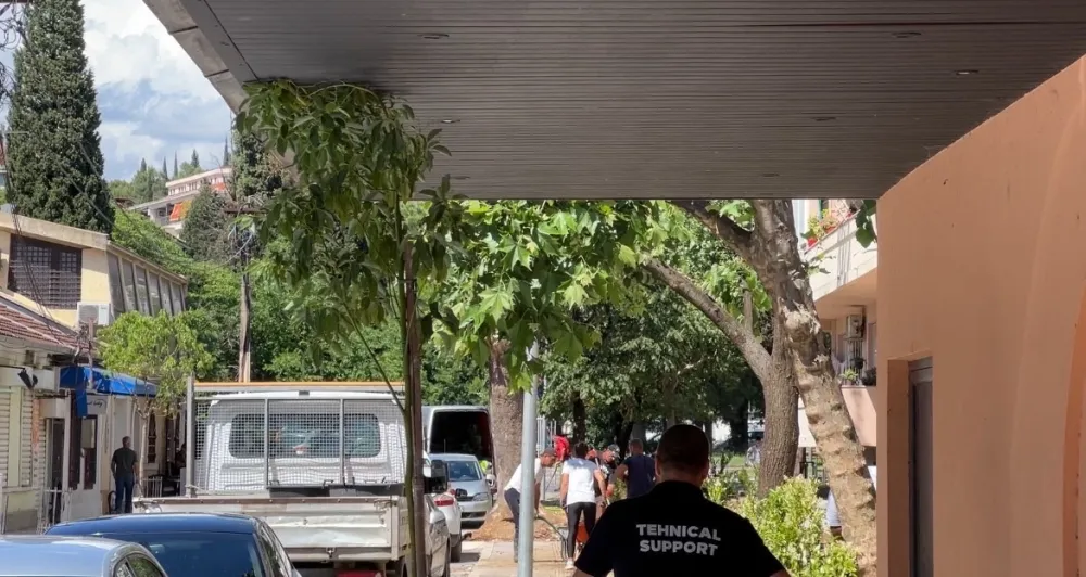 Ulica Bal&scaron;ića: Drveće posađeno ispod nadstre&scaron;nice