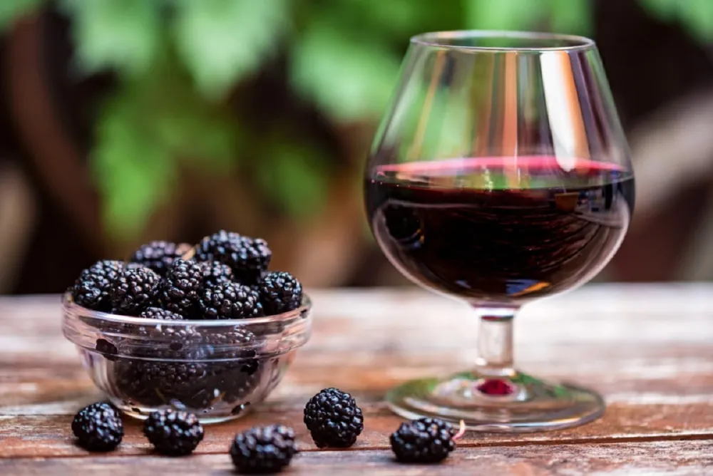 Kupinovo vino odličan prirodni lijek za anemiju