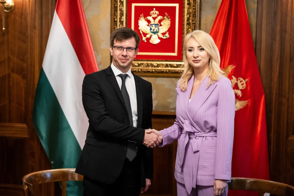 Gorčević s aBokom