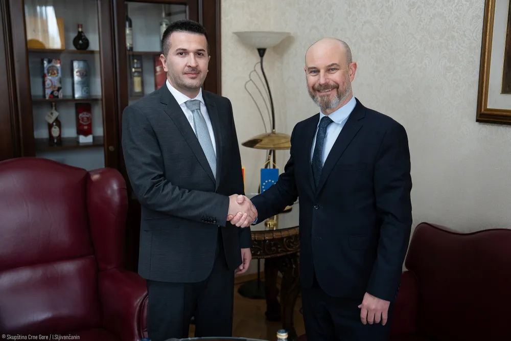 Pejović - Bilčik: Usvajanje IBAR zakona jedan od najznačajnih zadataka trenutnog saziva Skup&scaron;tine