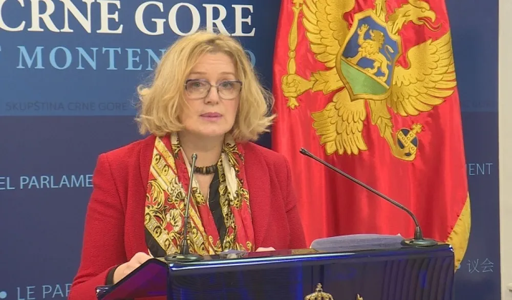 Bo&scaron;njak: Vlada mučki smijenila Aligrudića dok se nalazio na službenom putu