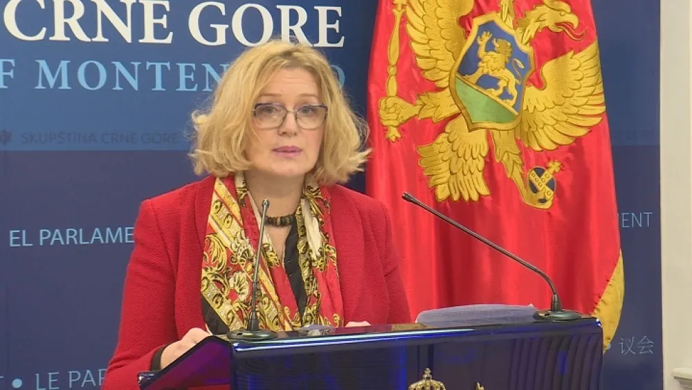 Bo&scaron;njak: Vlada mučki smijenila Aligrudića dok se nalazio na službenom putu