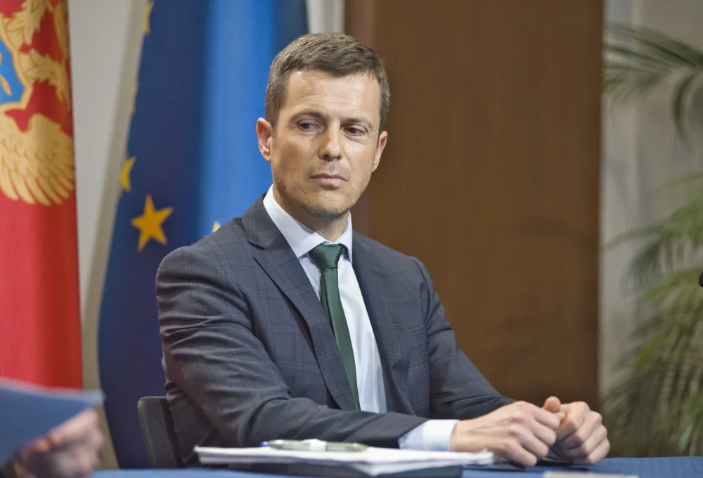 Mujović: Elektroprivreda trpi velike gubitke zbog Željezare