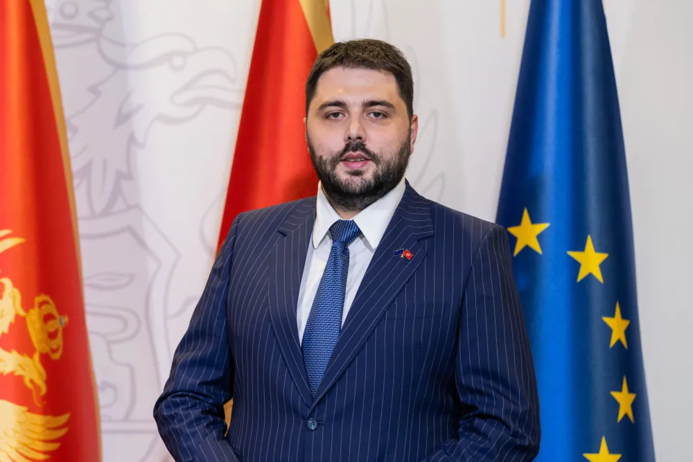 Martinović: Uskoro usvajanje Nacionalnog plana prilagođavanja Crne Gore na klimatske promjene